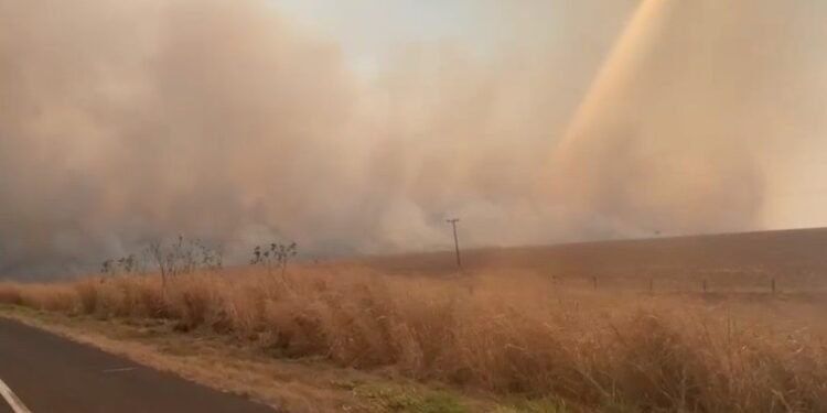 PRF alerta motoristas sobre riscos de queimadas nas rodovias de Goiás