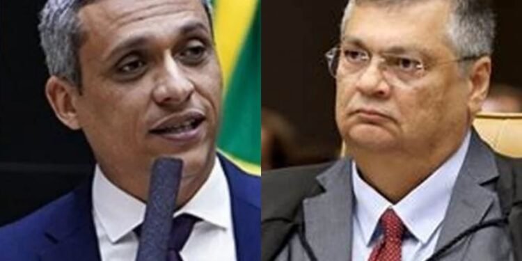 Gustavo Gayer critica decisão de Flávio Dino e defende imunidade parlamentar