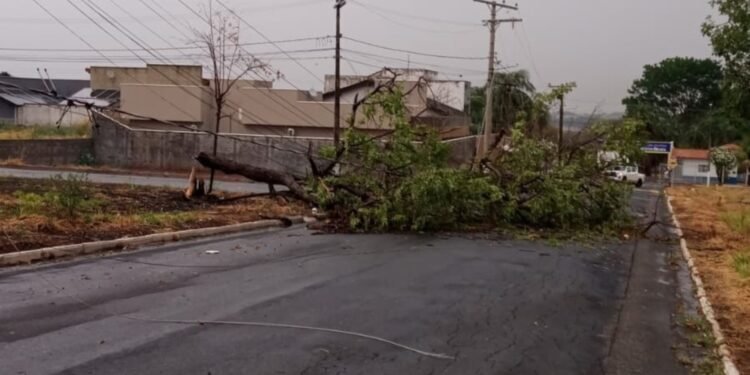 Equatorial Goiás alerta para risco de tempestades com granizo e possíveis quedas de energia