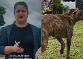 Cachorro é baleado em Anápolis, e vereadora Seliane da SOS denuncia crueldade contra animais