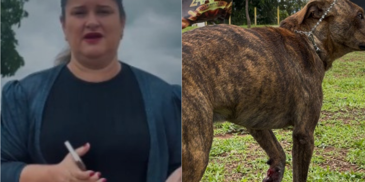 Cachorro é baleado em Anápolis, e vereadora Seliane da SOS denuncia crueldade contra animais