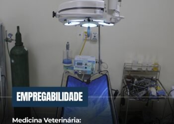 Medicina Veterinária na FAMA: Cuidado com os animais e carreira de sucesso
