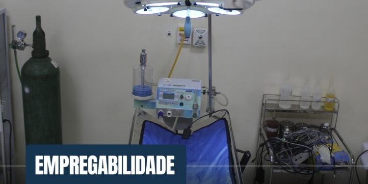 Medicina Veterinária na FAMA: Cuidado com os animais e carreira de sucesso